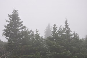 downeast_2010_038