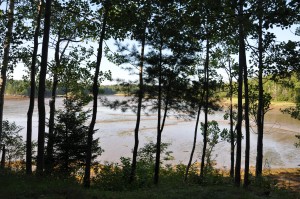 downeast_2010_170