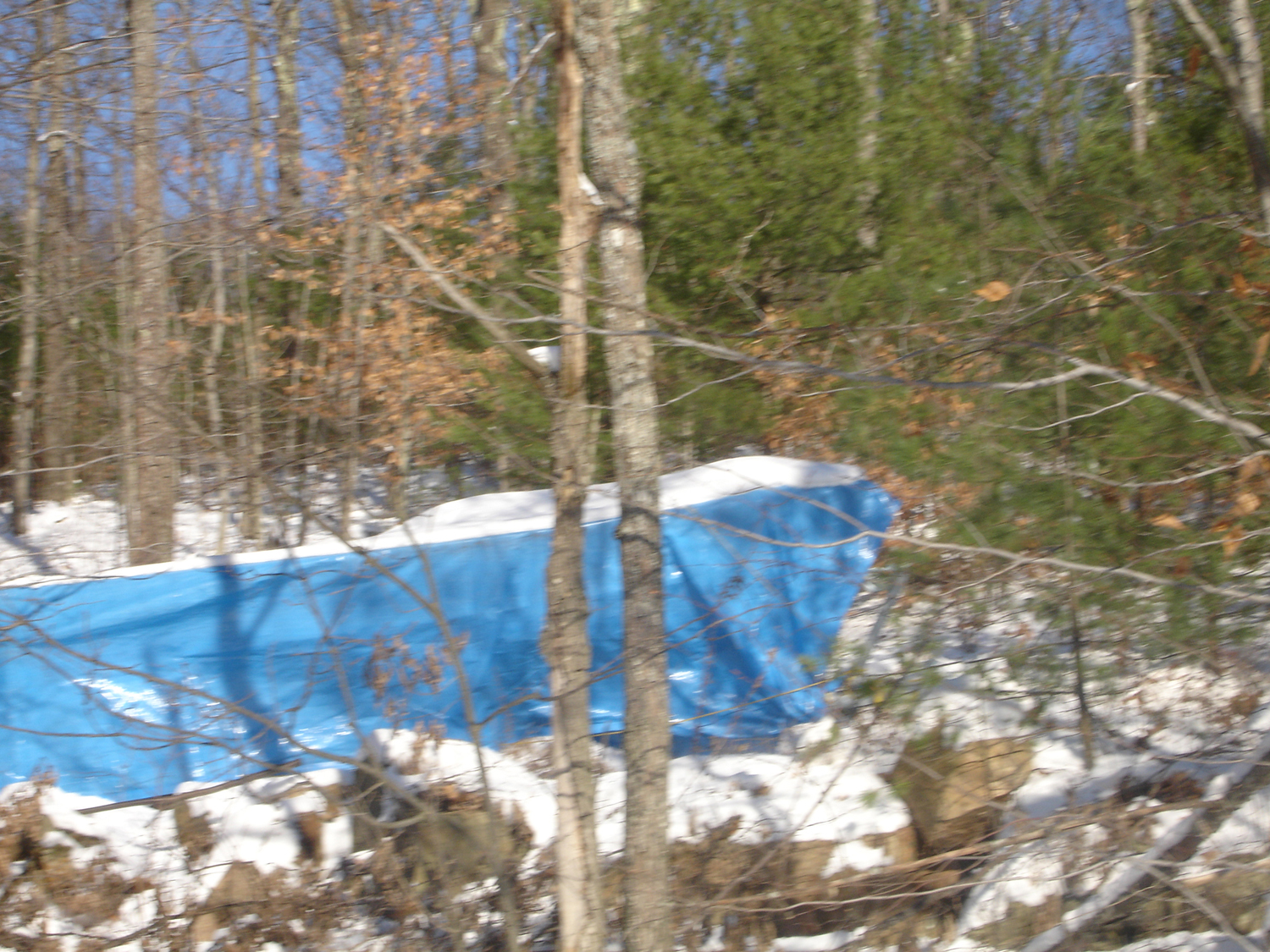 Blue Poly Tarpaulin
