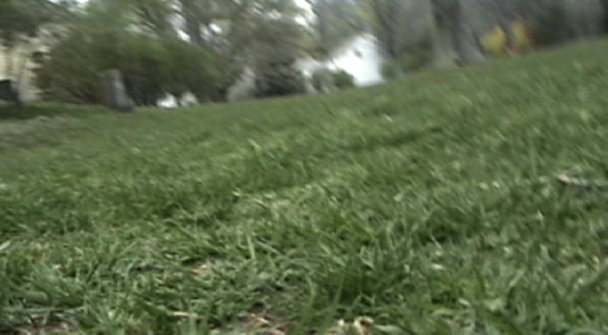In a Minute of Silence [Lexington Green V.02]